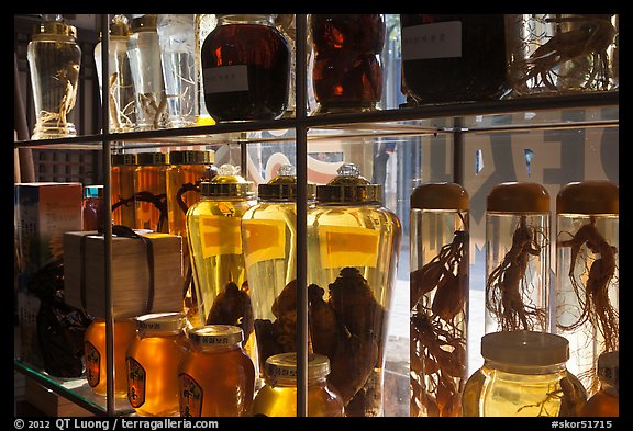 Jars filled with roots used in traditional medicine. Daegu, South Korea (color)