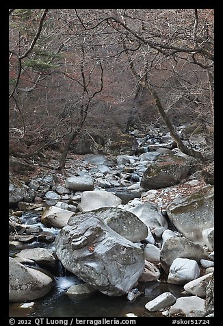 Stream in winter near Haeinsa. South Korea (color)