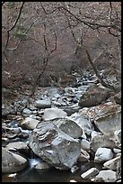 Stream in winter near Haeinsa. South Korea ( color)