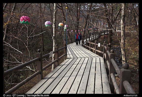 Elevated boardwalk near Haeinsa. South Korea (color)
