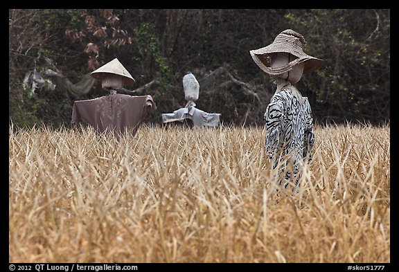 Scarecrows in field. Hahoe Folk Village, South Korea (color)