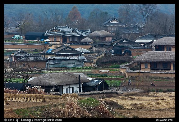 Straw roofed houses and tile roofed houses. Hahoe Folk Village, South Korea