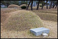 Burial mounds. Hahoe Folk Village, South Korea ( color)