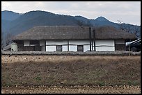 Straw roofed house. Hahoe Folk Village, South Korea ( color)