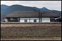 Straw roofed house. Hahoe Folk Village, South Korea (color)