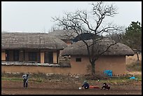 Villagers cultivating fields by hand in front of straw roofed houses. Hahoe Folk Village, South Korea