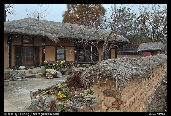 House and fence with straw roofing. Hahoe Folk Village, South Korea (color)