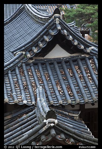 Tiled roofs. Hahoe Folk Village, South Korea (color)