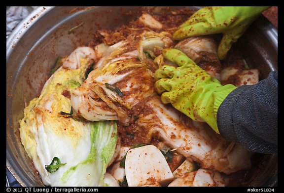 Handling kimjang kimchi. Gyeongju, South Korea (color)