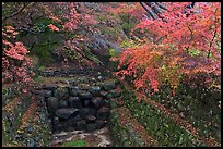 Landscaped creek in autumn, Bulguksa. Gyeongju, South Korea (color)