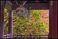 Fish-shaped gong and fall colors, Bulguk-sa. Gyeongju, South Korea ( color)