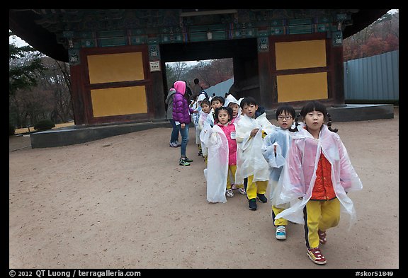 Schoolchildren with raingear, Bulguksa. Gyeongju, South Korea (color)