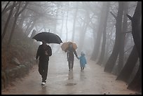 Family walking on path in the rain, Seokguram. Gyeongju, South Korea