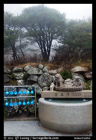 Sacred water fountain, Seokguram. Gyeongju, South Korea (color)