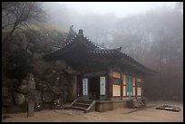 Grotto entrance pavilion in fog, Seokguram. Gyeongju, South Korea (color)