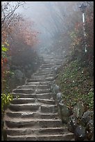 Stairs leading to grotto, Seokguram. Gyeongju, South Korea