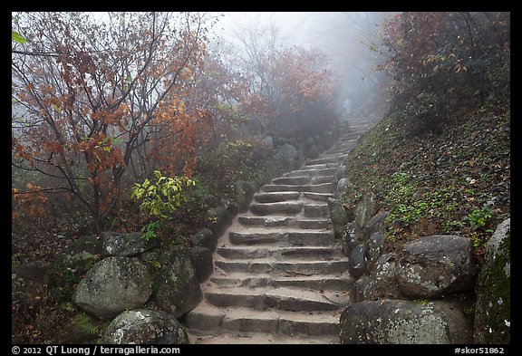 Stone stairs in fog, Seokguram. Gyeongju, South Korea (color)