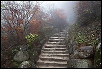 Stone stairs in fog, Seokguram. Gyeongju, South Korea (color)