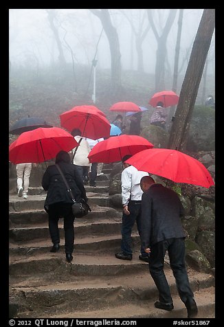 Pilgrims with red unbrellas, Seokguram. Gyeongju, South Korea (color)