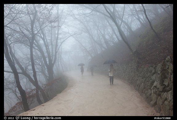 Tourist walking in fog, Seokguram. Gyeongju, South Korea (color)