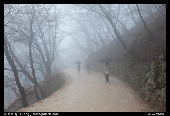 Visitors walking in fog, Seokguram. Gyeongju, South Korea