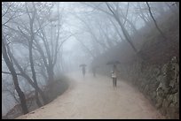 Tourist walking in fog, Seokguram. Gyeongju, South Korea (color)