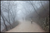 Tourist walking in fog, Seokguram. Gyeongju, South Korea