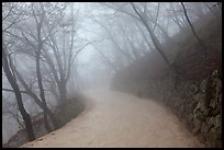 Path in fog, Seokguram. Gyeongju, South Korea (color)