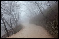 Path in fog, Seokguram. Gyeongju, South Korea