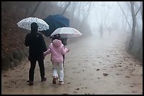 Family walking on misty path, Seokguram. Gyeongju, South Korea ( color)