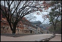 Temple of Silla, Bulguksa. Gyeongju, South Korea ( color)
