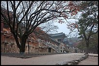 Temple of Silla, Bulguksa. Gyeongju, South Korea