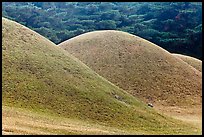 Pictures of Tumulus