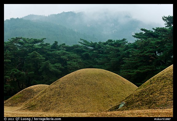 Barrows and misty mountains, Mt Namsan. Gyeongju, South Korea (color)