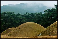 Barrows and misty mountains, Mt Namsan. Gyeongju, South Korea (color)
