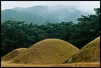 Barrows and misty mountains, Mt Namsan. Gyeongju, South Korea