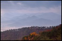 Forest slopes and distant misty hills, Mt Namsan. Gyeongju, South Korea ( color)