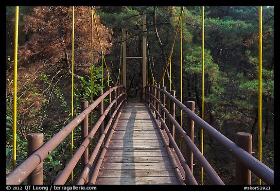 Suspension bridge, Namsan Mountain. Gyeongju, South Korea (color)