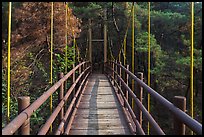 Suspension bridge, Namsan Mountain. Gyeongju, South Korea (color)