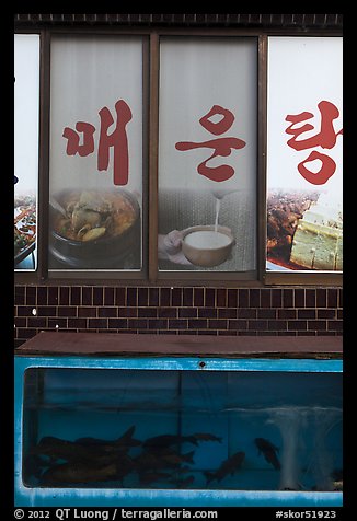 Fish tank and food pictures. Gyeongju, South Korea
