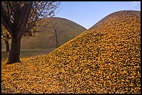 Grassy burial mounds in autumn. Gyeongju, South Korea