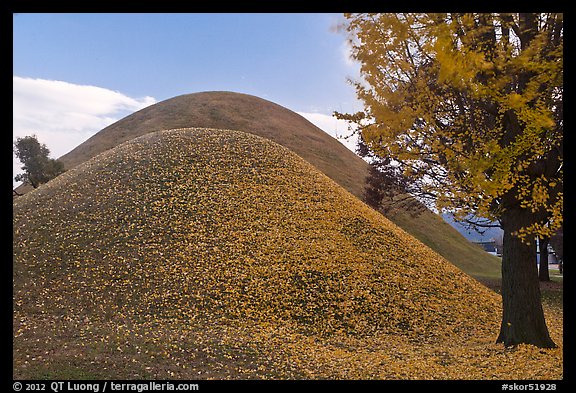 Tumuli with fallen leaves. Gyeongju, South Korea