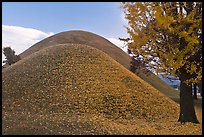 Tumuli with fallen leaves. Gyeongju, South Korea (color)