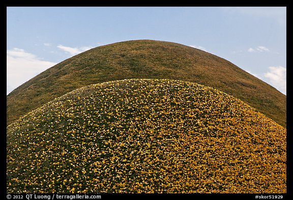 Symmetrical tumuli. Gyeongju, South Korea