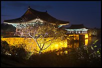 Donggung pavilions at night. Gyeongju, South Korea