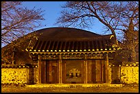 Royal tomb of King Michu of Silla by night. Gyeongju, South Korea (color)