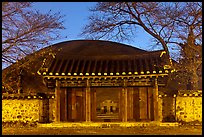 Royal tomb of King Michu of Silla by night. Gyeongju, South Korea