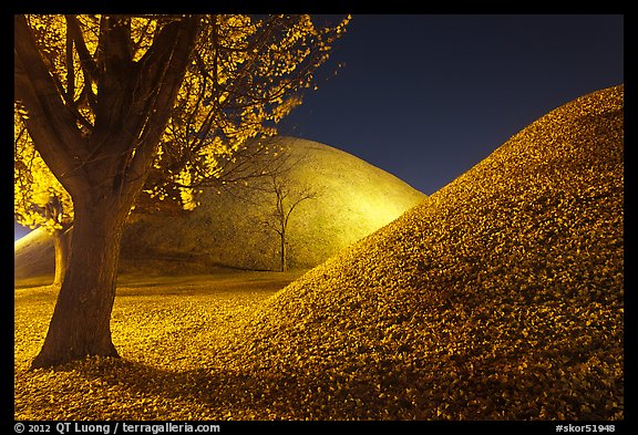 Tumulus and fallen leaves at night. Gyeongju, South Korea (color)