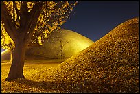 Tumulus and fallen leaves at night. Gyeongju, South Korea (color)