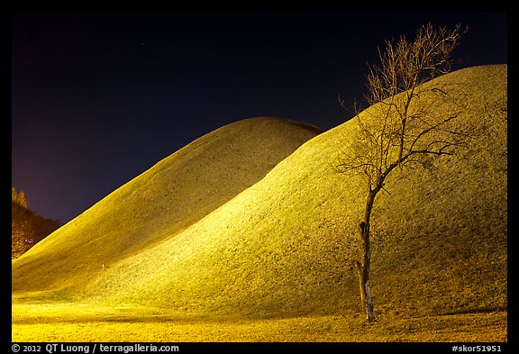 Tree and illuminated barrows at night. Gyeongju, South Korea (color)